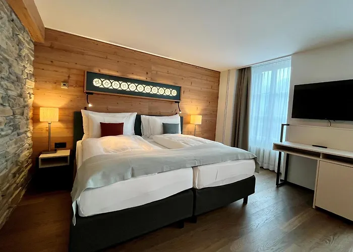 酒店 因特拉肯酒店 4*