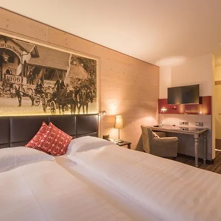 Hotel Interlaken Hotel 4*